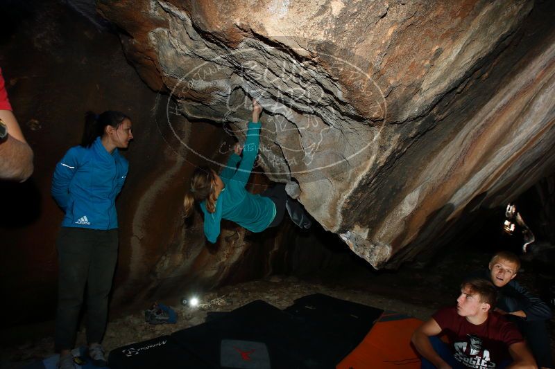 

Filename: SRM_20171118_1411520.jpg
Aperture: f/8.0
Shutter Speed: 1/40
Body: Canon EOS-1D Mark II
Lens: Canon EF 16-35mm f/2.8 L