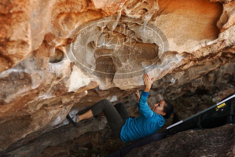 

Filename: SRM_20171118_1604180.jpg
Aperture: f/4.0
Shutter Speed: 1/250
Body: Canon EOS-1D Mark II
Lens: Canon EF 50mm f/1.8 II