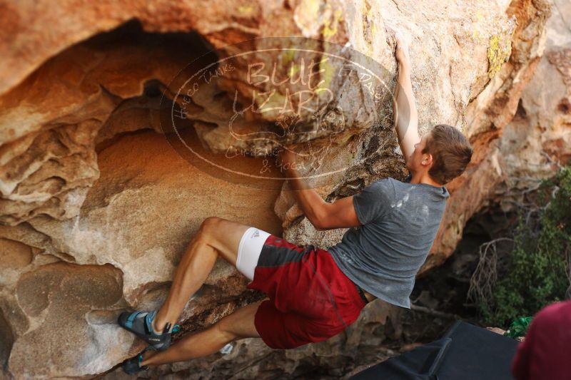 

Filename: SRM_20171118_1614380.jpg
Aperture: f/2.8
Shutter Speed: 1/640
Body: Canon EOS-1D Mark II
Lens: Canon EF 50mm f/1.8 II