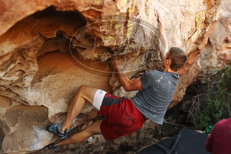 

Filename: SRM_20171118_1614381.jpg
Aperture: f/2.8
Shutter Speed: 1/640
Body: Canon EOS-1D Mark II
Lens: Canon EF 50mm f/1.8 II