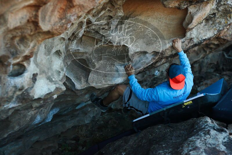 

Filename: SRM_20171118_1620380.jpg
Aperture: f/2.8
Shutter Speed: 1/800
Body: Canon EOS-1D Mark II
Lens: Canon EF 50mm f/1.8 II