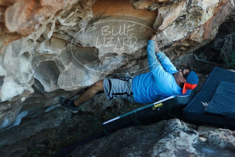 

Filename: SRM_20171118_1620422.jpg
Aperture: f/2.8
Shutter Speed: 1/640
Body: Canon EOS-1D Mark II
Lens: Canon EF 50mm f/1.8 II