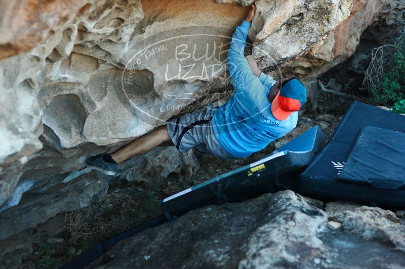 

Filename: SRM_20171118_1620440.jpg
Aperture: f/2.8
Shutter Speed: 1/500
Body: Canon EOS-1D Mark II
Lens: Canon EF 50mm f/1.8 II