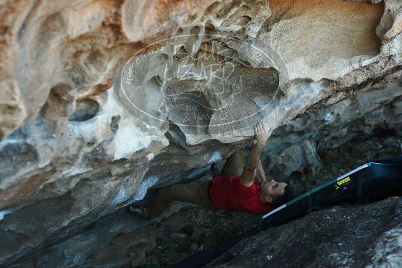 

Filename: SRM_20171118_1621410.jpg
Aperture: f/3.5
Shutter Speed: 1/320
Body: Canon EOS-1D Mark II
Lens: Canon EF 50mm f/1.8 II