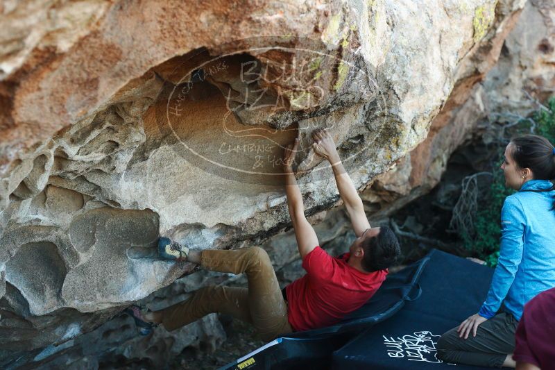 

Filename: SRM_20171118_1622040.jpg
Aperture: f/3.5
Shutter Speed: 1/320
Body: Canon EOS-1D Mark II
Lens: Canon EF 50mm f/1.8 II