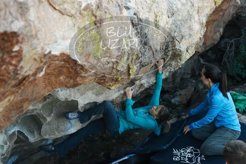 

Filename: SRM_20171118_1624210.jpg
Aperture: f/3.5
Shutter Speed: 1/500
Body: Canon EOS-1D Mark II
Lens: Canon EF 50mm f/1.8 II