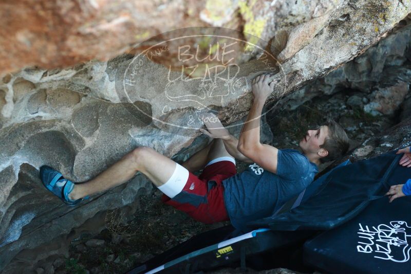 

Filename: SRM_20171118_1626100.jpg
Aperture: f/3.5
Shutter Speed: 1/320
Body: Canon EOS-1D Mark II
Lens: Canon EF 50mm f/1.8 II