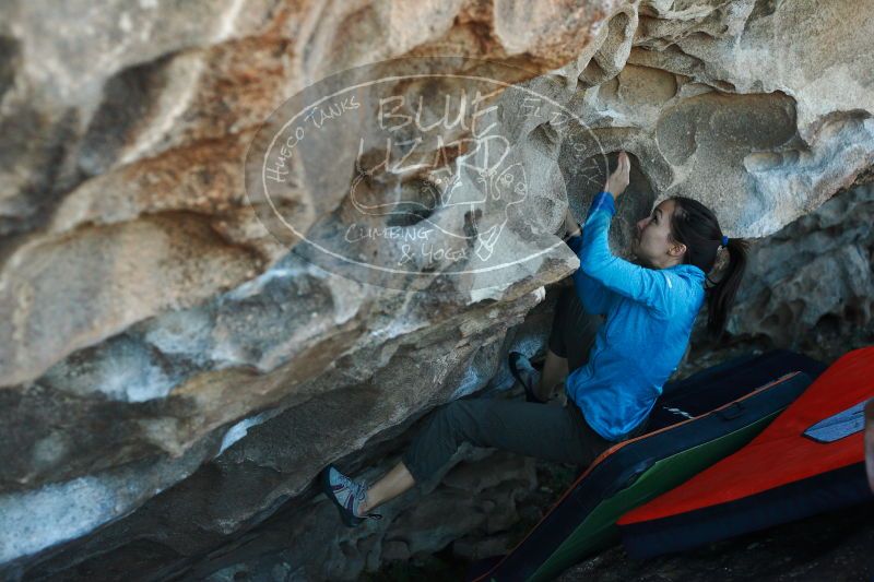 

Filename: SRM_20171118_1634450.jpg
Aperture: f/3.5
Shutter Speed: 1/320
Body: Canon EOS-1D Mark II
Lens: Canon EF 50mm f/1.8 II