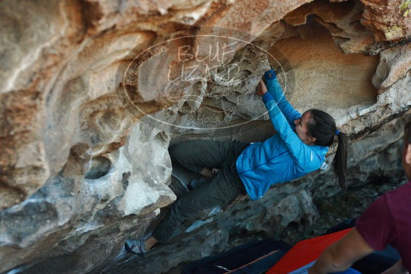 

Filename: SRM_20171118_1634551.jpg
Aperture: f/3.5
Shutter Speed: 1/320
Body: Canon EOS-1D Mark II
Lens: Canon EF 50mm f/1.8 II