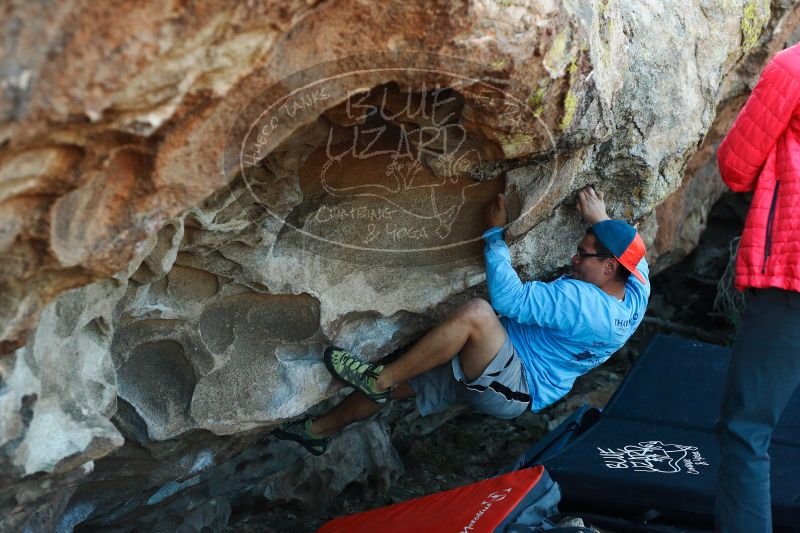 

Filename: SRM_20171118_1638190.jpg
Aperture: f/3.5
Shutter Speed: 1/400
Body: Canon EOS-1D Mark II
Lens: Canon EF 50mm f/1.8 II