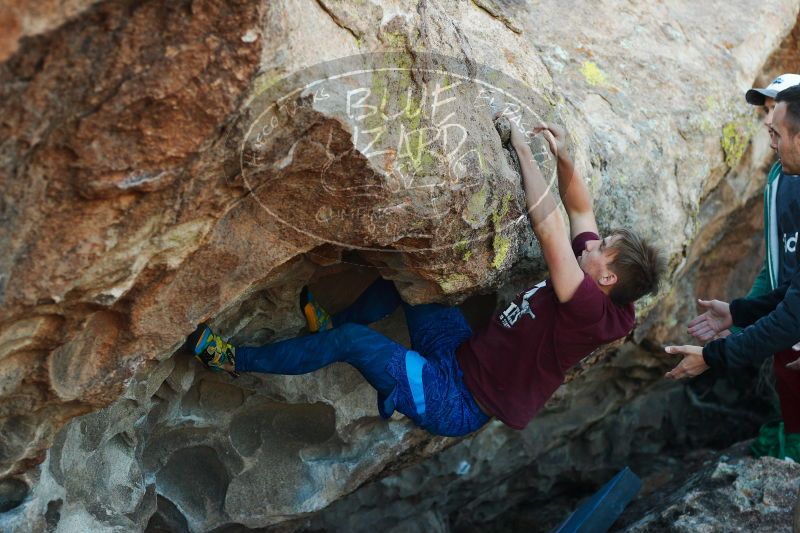 

Filename: SRM_20171118_1655280.jpg
Aperture: f/3.5
Shutter Speed: 1/500
Body: Canon EOS-1D Mark II
Lens: Canon EF 50mm f/1.8 II