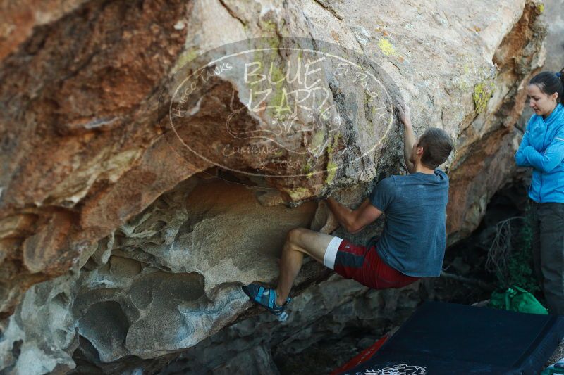 

Filename: SRM_20171118_1708300.jpg
Aperture: f/3.5
Shutter Speed: 1/500
Body: Canon EOS-1D Mark II
Lens: Canon EF 50mm f/1.8 II