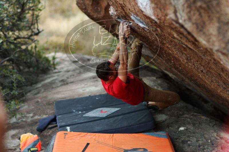 

Filename: SRM_20171118_1756030.jpg
Aperture: f/2.0
Shutter Speed: 1/250
Body: Canon EOS-1D Mark II
Lens: Canon EF 85mm f/1.2 L II