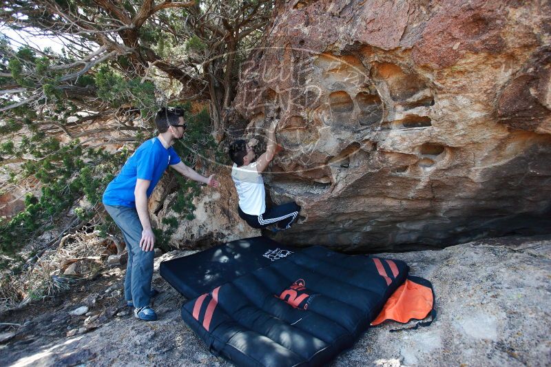 

Filename: SRM_20171119_1113020.jpg
Aperture: f/4.0
Shutter Speed: 1/320
Body: Canon EOS-1D Mark II
Lens: Canon EF 16-35mm f/2.8 L