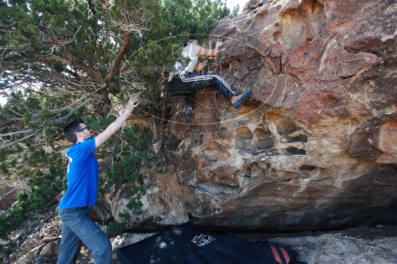 

Filename: SRM_20171119_1113330.jpg
Aperture: f/4.0
Shutter Speed: 1/400
Body: Canon EOS-1D Mark II
Lens: Canon EF 16-35mm f/2.8 L