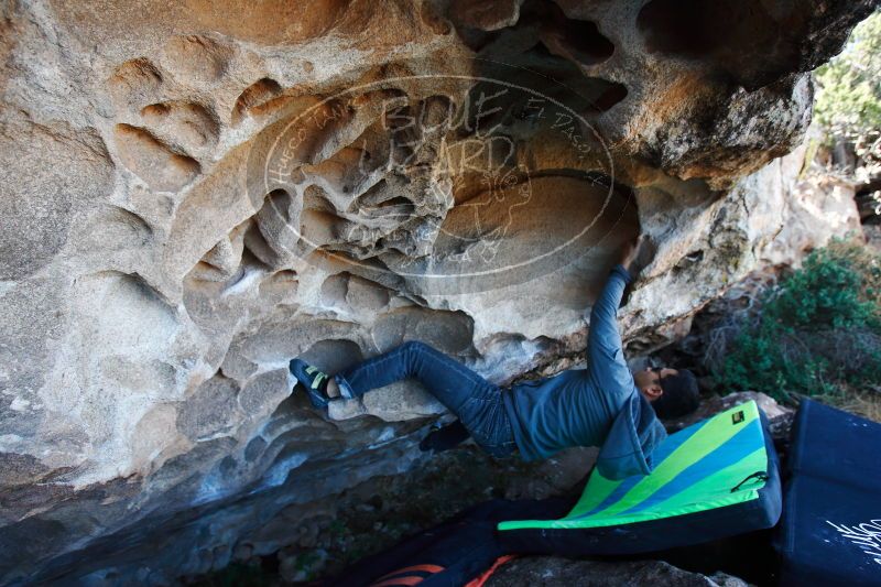 

Filename: SRM_20171119_1117420.jpg
Aperture: f/4.0
Shutter Speed: 1/250
Body: Canon EOS-1D Mark II
Lens: Canon EF 16-35mm f/2.8 L