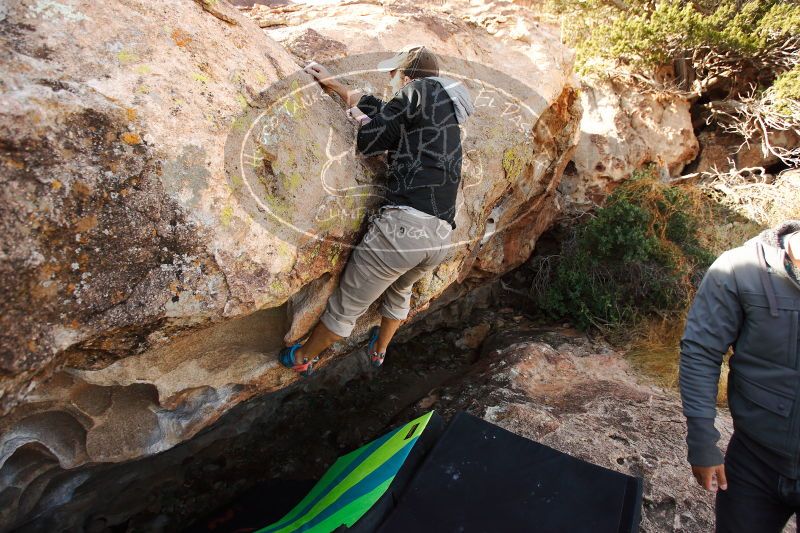 

Filename: SRM_20171119_1122040.jpg
Aperture: f/4.0
Shutter Speed: 1/500
Body: Canon EOS-1D Mark II
Lens: Canon EF 16-35mm f/2.8 L