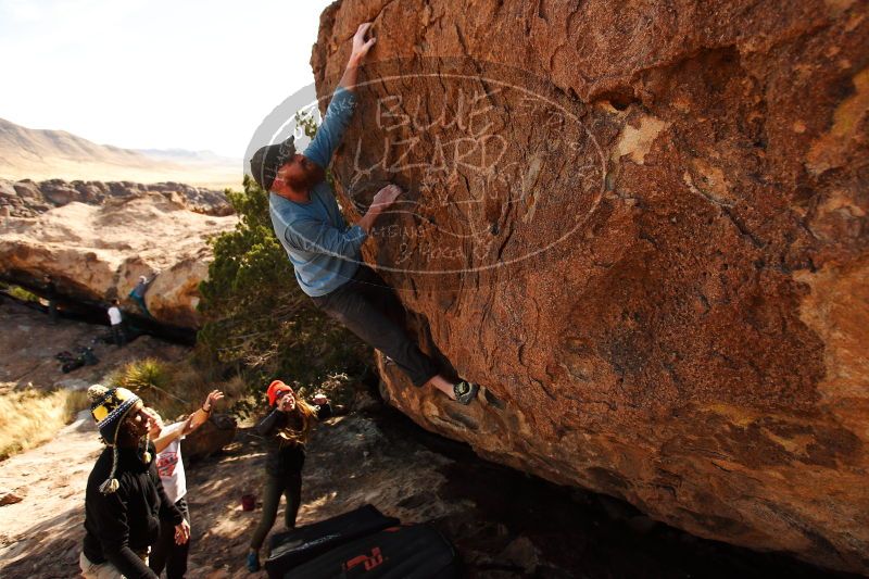 

Filename: SRM_20171119_1123440.jpg
Aperture: f/4.0
Shutter Speed: 1/1250
Body: Canon EOS-1D Mark II
Lens: Canon EF 16-35mm f/2.8 L