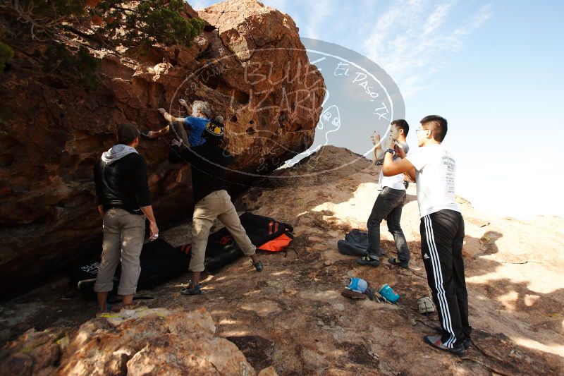 

Filename: SRM_20171119_1127520.jpg
Aperture: f/4.0
Shutter Speed: 1/1250
Body: Canon EOS-1D Mark II
Lens: Canon EF 16-35mm f/2.8 L