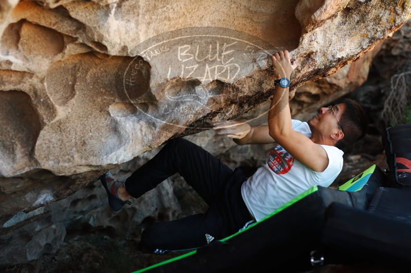 

Filename: SRM_20171119_1151580.jpg
Aperture: f/2.8
Shutter Speed: 1/500
Body: Canon EOS-1D Mark II
Lens: Canon EF 50mm f/1.8 II