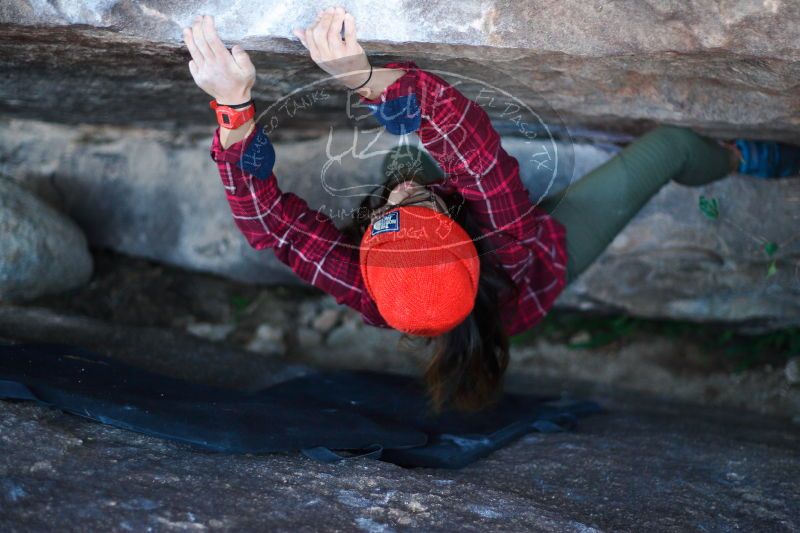 

Filename: SRM_20171119_1154030.jpg
Aperture: f/2.0
Shutter Speed: 1/250
Body: Canon EOS-1D Mark II
Lens: Canon EF 50mm f/1.8 II