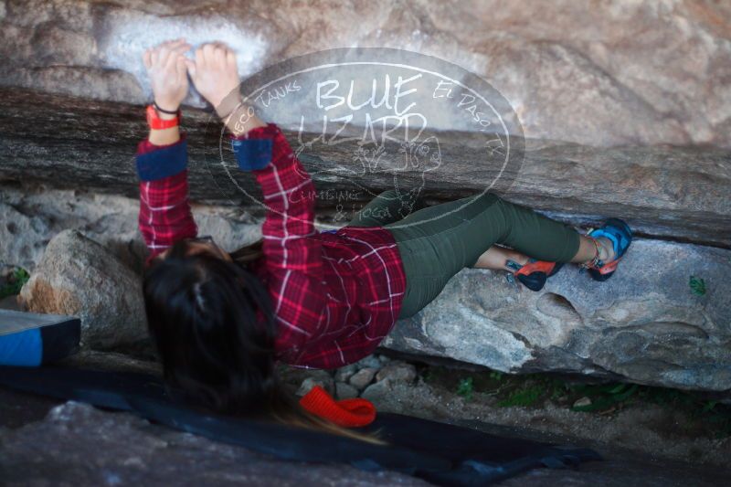 

Filename: SRM_20171119_1155200.jpg
Aperture: f/2.0
Shutter Speed: 1/320
Body: Canon EOS-1D Mark II
Lens: Canon EF 50mm f/1.8 II