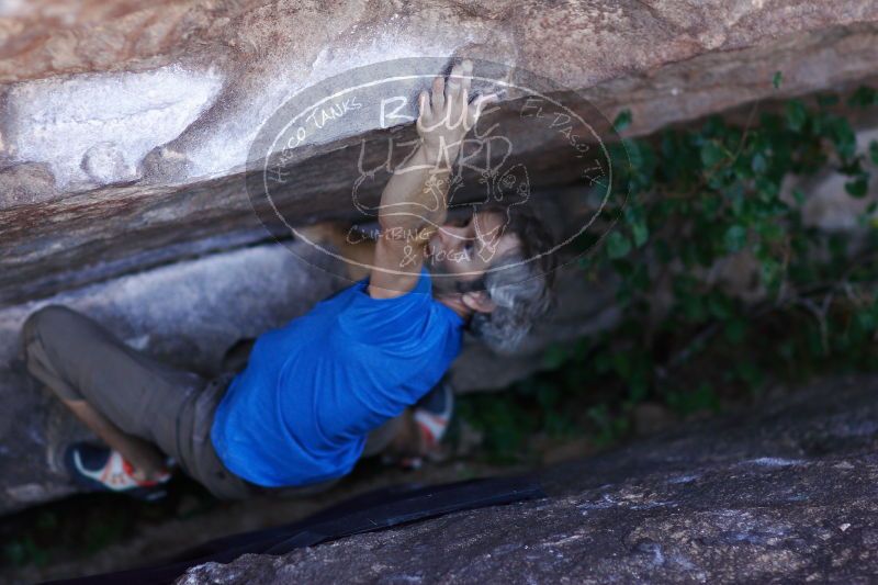 

Filename: SRM_20171119_1202150.jpg
Aperture: f/2.0
Shutter Speed: 1/500
Body: Canon EOS-1D Mark II
Lens: Canon EF 85mm f/1.2 L II