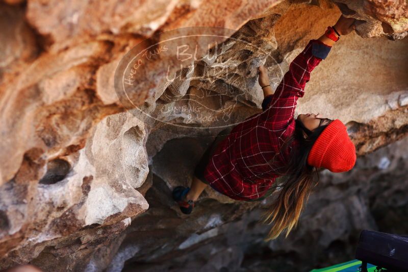 

Filename: SRM_20171119_1203100.jpg
Aperture: f/2.8
Shutter Speed: 1/800
Body: Canon EOS-1D Mark II
Lens: Canon EF 85mm f/1.2 L II