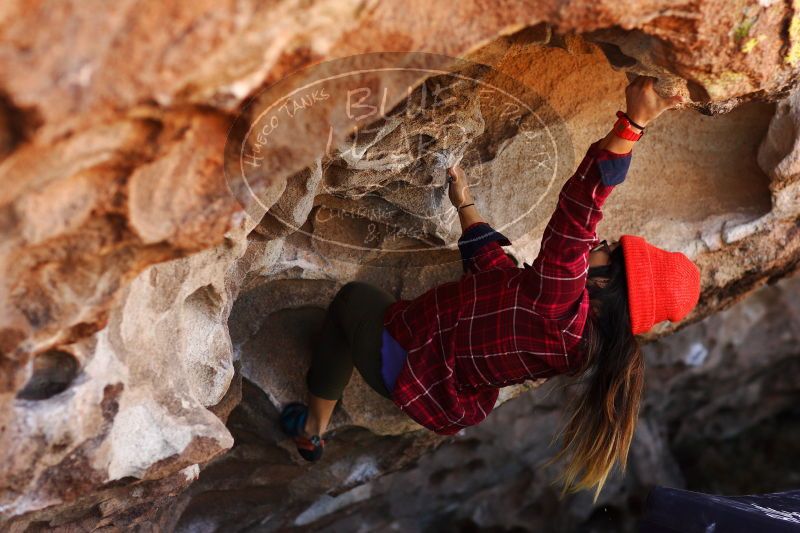 

Filename: SRM_20171119_1203110.jpg
Aperture: f/2.8
Shutter Speed: 1/800
Body: Canon EOS-1D Mark II
Lens: Canon EF 85mm f/1.2 L II