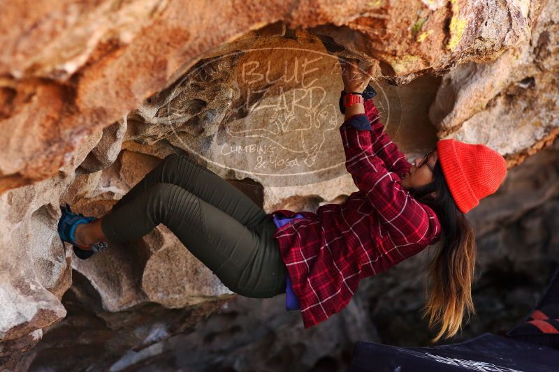 

Filename: SRM_20171119_1203140.jpg
Aperture: f/2.8
Shutter Speed: 1/1000
Body: Canon EOS-1D Mark II
Lens: Canon EF 85mm f/1.2 L II