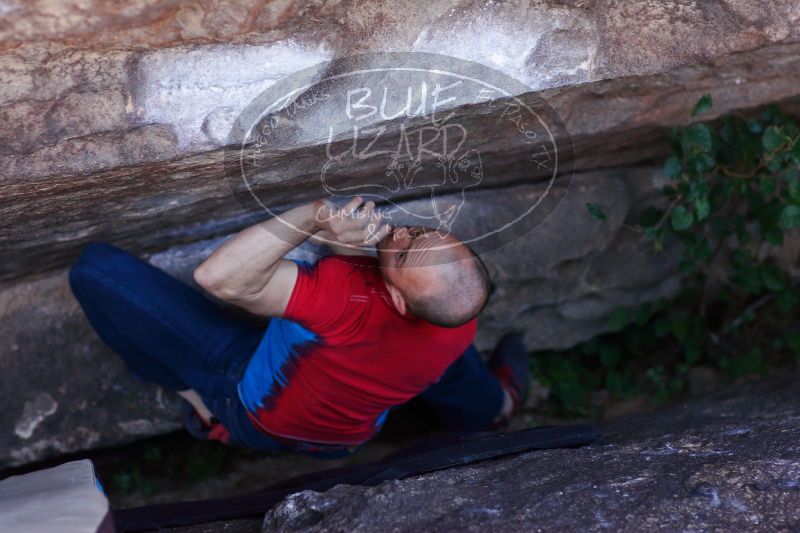 

Filename: SRM_20171119_1204490.jpg
Aperture: f/2.8
Shutter Speed: 1/250
Body: Canon EOS-1D Mark II
Lens: Canon EF 85mm f/1.2 L II