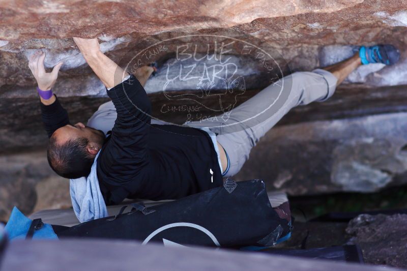 

Filename: SRM_20171119_1212330.jpg
Aperture: f/2.5
Shutter Speed: 1/400
Body: Canon EOS-1D Mark II
Lens: Canon EF 85mm f/1.2 L II