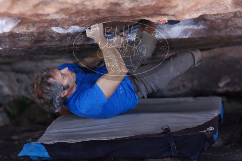 

Filename: SRM_20171119_1214210.jpg
Aperture: f/2.5
Shutter Speed: 1/500
Body: Canon EOS-1D Mark II
Lens: Canon EF 85mm f/1.2 L II