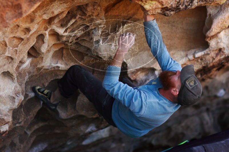 

Filename: SRM_20171119_1219250.jpg
Aperture: f/2.5
Shutter Speed: 1/1250
Body: Canon EOS-1D Mark II
Lens: Canon EF 85mm f/1.2 L II