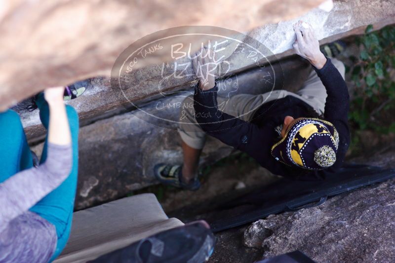 

Filename: SRM_20171119_1232100.jpg
Aperture: f/2.2
Shutter Speed: 1/320
Body: Canon EOS-1D Mark II
Lens: Canon EF 85mm f/1.2 L II