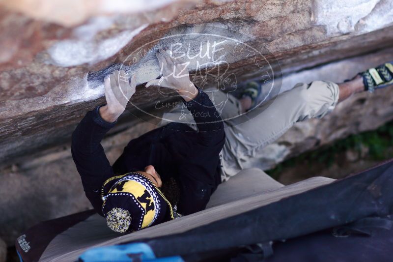 

Filename: SRM_20171119_1232270.jpg
Aperture: f/2.2
Shutter Speed: 1/320
Body: Canon EOS-1D Mark II
Lens: Canon EF 85mm f/1.2 L II