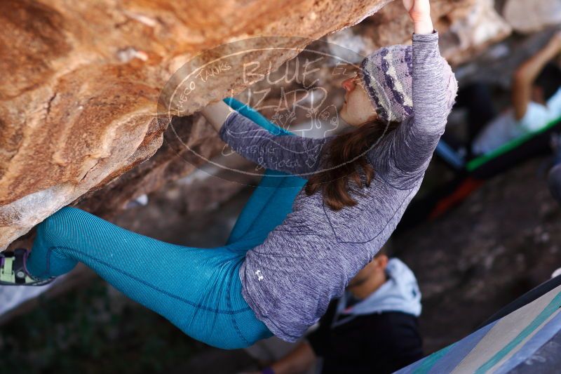 

Filename: SRM_20171119_1233490.jpg
Aperture: f/2.8
Shutter Speed: 1/640
Body: Canon EOS-1D Mark II
Lens: Canon EF 85mm f/1.2 L II