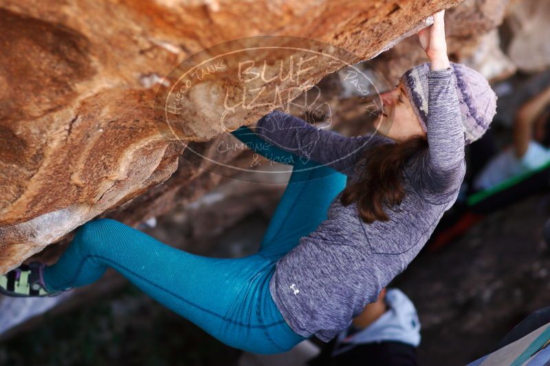 

Filename: SRM_20171119_1233511.jpg
Aperture: f/2.8
Shutter Speed: 1/800
Body: Canon EOS-1D Mark II
Lens: Canon EF 85mm f/1.2 L II