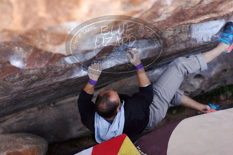 

Filename: SRM_20171119_1247150.jpg
Aperture: f/2.8
Shutter Speed: 1/320
Body: Canon EOS-1D Mark II
Lens: Canon EF 85mm f/1.2 L II