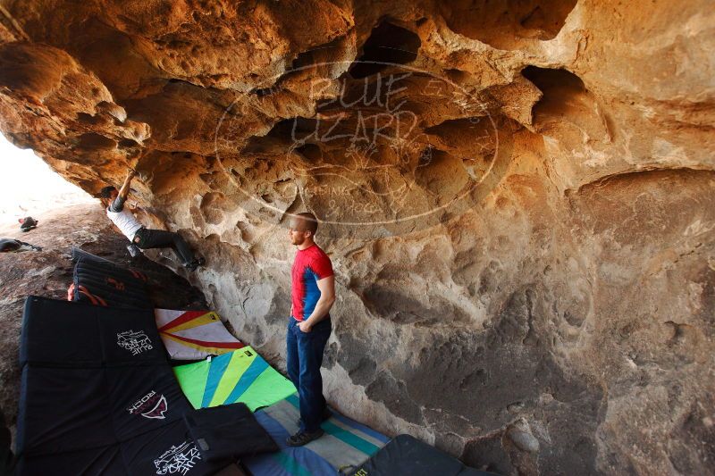 

Filename: SRM_20171119_1308460.jpg
Aperture: f/4.0
Shutter Speed: 1/500
Body: Canon EOS-1D Mark II
Lens: Canon EF 16-35mm f/2.8 L