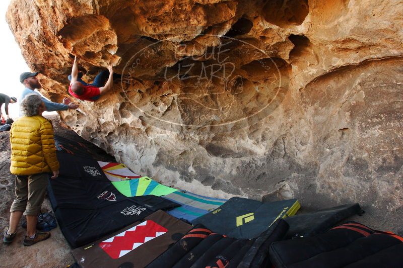 

Filename: SRM_20171119_1314120.jpg
Aperture: f/5.6
Shutter Speed: 1/200
Body: Canon EOS-1D Mark II
Lens: Canon EF 16-35mm f/2.8 L