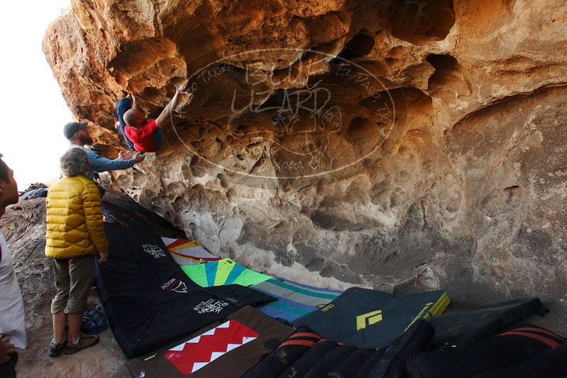 

Filename: SRM_20171119_1314330.jpg
Aperture: f/5.6
Shutter Speed: 1/250
Body: Canon EOS-1D Mark II
Lens: Canon EF 16-35mm f/2.8 L