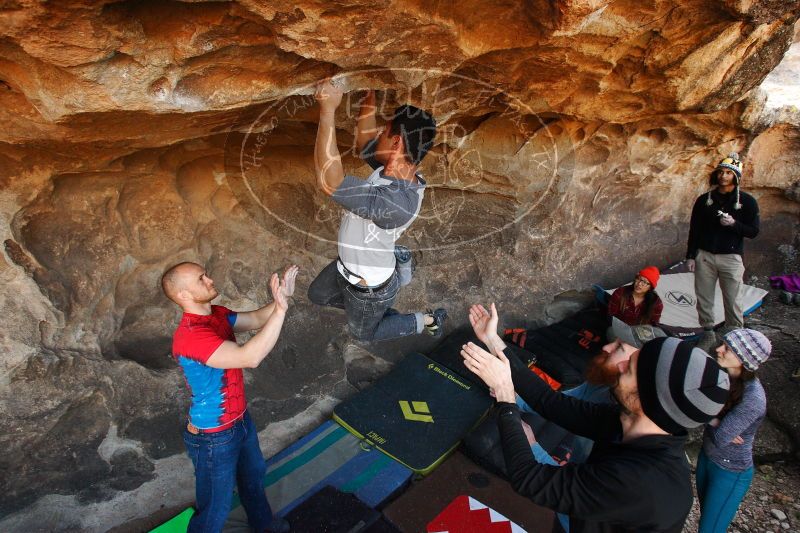 

Filename: SRM_20171119_1324560.jpg
Aperture: f/5.6
Shutter Speed: 1/250
Body: Canon EOS-1D Mark II
Lens: Canon EF 16-35mm f/2.8 L