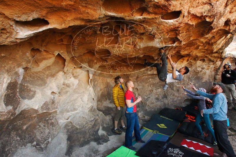 

Filename: SRM_20171119_1325250.jpg
Aperture: f/5.6
Shutter Speed: 1/250
Body: Canon EOS-1D Mark II
Lens: Canon EF 16-35mm f/2.8 L