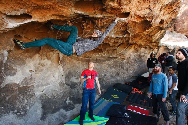 

Filename: SRM_20171119_1326400.jpg
Aperture: f/5.6
Shutter Speed: 1/250
Body: Canon EOS-1D Mark II
Lens: Canon EF 16-35mm f/2.8 L