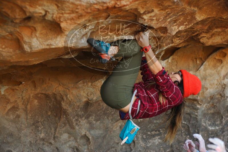 

Filename: SRM_20171119_1345310.jpg
Aperture: f/2.8
Shutter Speed: 1/320
Body: Canon EOS-1D Mark II
Lens: Canon EF 50mm f/1.8 II