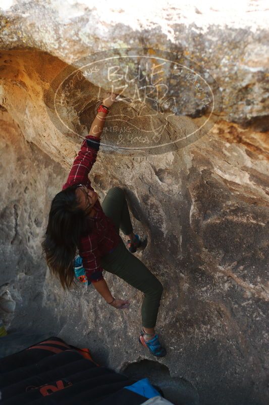 

Filename: SRM_20171119_1347571.jpg
Aperture: f/2.8
Shutter Speed: 1/400
Body: Canon EOS-1D Mark II
Lens: Canon EF 50mm f/1.8 II