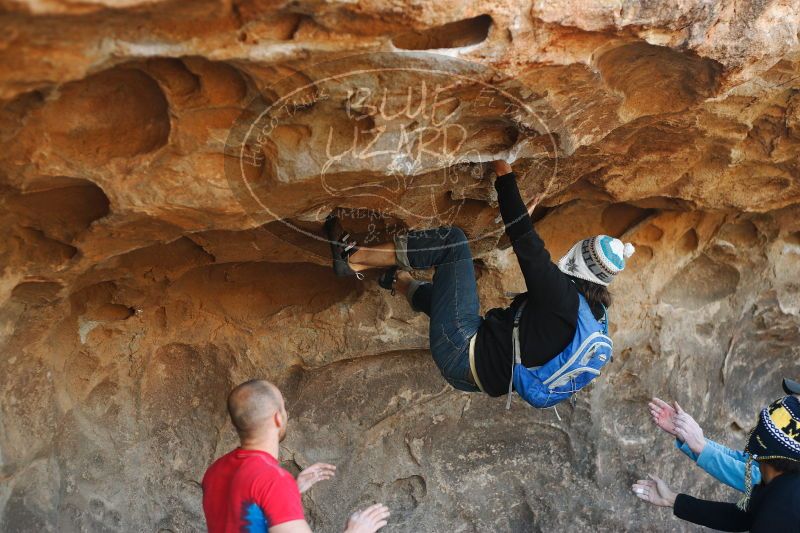 

Filename: SRM_20171119_1358300.jpg
Aperture: f/2.8
Shutter Speed: 1/250
Body: Canon EOS-1D Mark II
Lens: Canon EF 50mm f/1.8 II