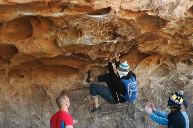 

Filename: SRM_20171119_1358340.jpg
Aperture: f/2.8
Shutter Speed: 1/250
Body: Canon EOS-1D Mark II
Lens: Canon EF 50mm f/1.8 II