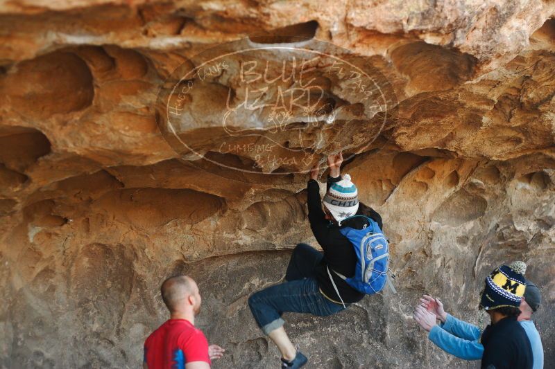 

Filename: SRM_20171119_1358341.jpg
Aperture: f/2.8
Shutter Speed: 1/320
Body: Canon EOS-1D Mark II
Lens: Canon EF 50mm f/1.8 II